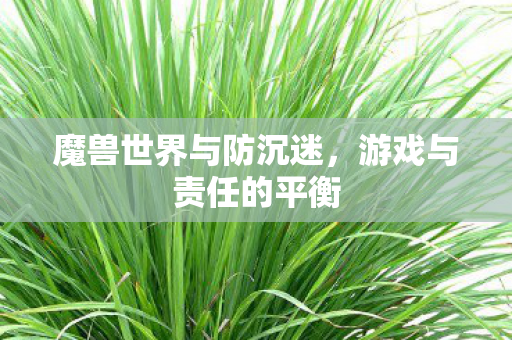 魔兽世界与防沉迷,游戏与责任的平衡 魔兽世界与防沉迷,游戏与责任的平衡