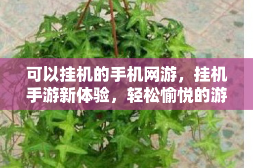 可以挂机的手机网游，挂机手游新体验，轻松愉悦的游戏之旅