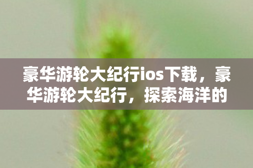 豪华游轮大纪行ios下载，豪华游轮大纪行，探索海洋的梦幻之旅