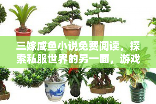 三嫁咸鱼小说免费阅读,探索私服世界的另一面,游戏玩家的自由与限制 三嫁咸鱼小说免费阅读,探索私服世界的另一面,游戏玩家的自由与限制
