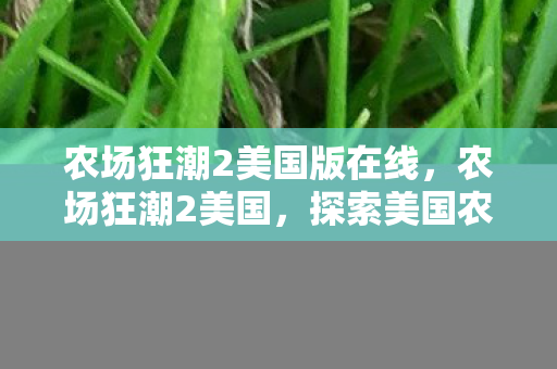 农场狂潮2美国版在线，农场狂潮2美国，探索美国农业现代化的新篇章