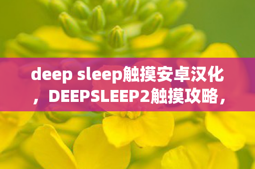 deep sleep触摸安卓汉化，DEEPSLEEP2触摸攻略，掌握高效操作技巧