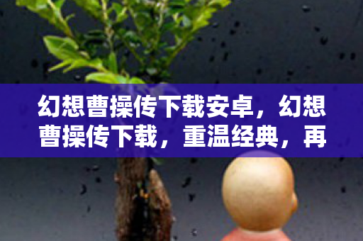 幻想曹操传下载安卓，幻想曹操传下载，重温经典，再续传奇