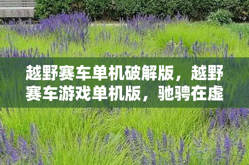 越野赛车单机破解版,越野赛车游戏单机版,驰骋在虚拟世界的极限挑战 越野赛车单机破解版,越野赛车游戏单机版,驰骋在虚拟世界的极限挑战
