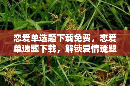 恋爱单选题下载免费，恋爱单选题下载，解锁爱情谜题，找到你的专属答案