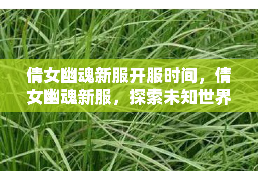 倩女幽魂新服开服时间，倩女幽魂新服，探索未知世界的奇妙旅程