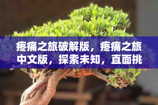 疼痛之旅破解版,疼痛之旅中文版,探索未知,直面挑战 疼痛之旅破解版,疼痛之旅中文版,探索未知,直面挑战