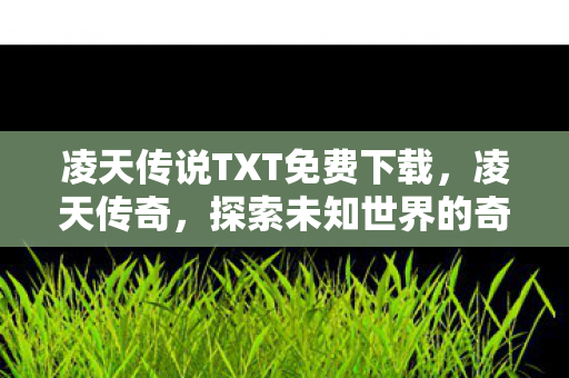 凌天传说TXT免费下载，凌天传奇，探索未知世界的奇幻之旅