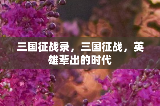 三国征战录，三国征战，英雄辈出的时代