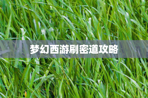 梦幻西游刷密道攻略