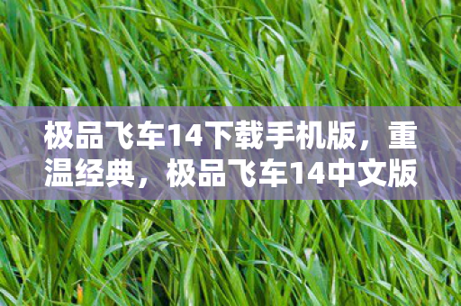 极品飞车14下载手机版，重温经典，极品飞车14中文版下载体验