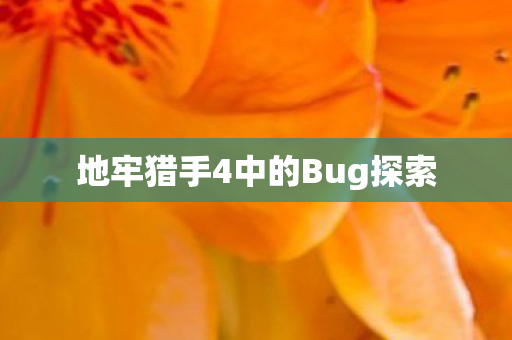 地牢猎手4中的Bug探索