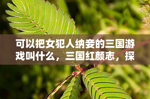 可以把女犯人纳妾的三国游戏叫什么，三国红颜志，探索历史长河中的女性角色