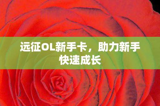 远征OL新手卡，助力新手快速成长