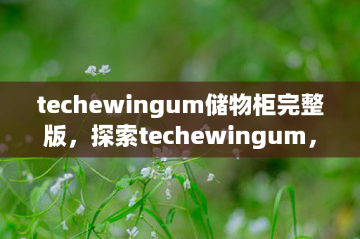 techewingum储物柜完整版，探索techewingum，解锁数字时代的创新工具