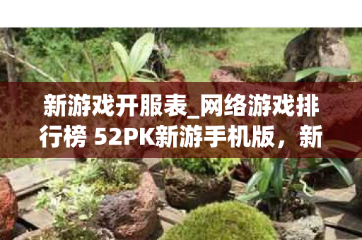 新游戏开服表_网络游戏排行榜 52PK新游手机版，新游戏开服表，探索未来游戏世界的门户