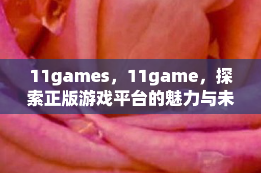 11games，11game，探索正版游戏平台的魅力与未来