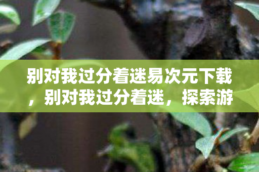 别对我过分着迷易次元下载,别对我过分着迷,探索游戏世界的多元体验与官方授权的边界 别对我过分着迷易次元下载,别对我过分着迷,探索游戏世界的多元体验与官方授权的边界