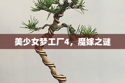 美少女梦工厂4，魔嫁之谜