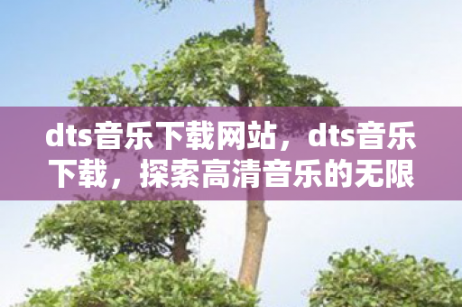 dts音乐下载网站，dts音乐下载，探索高清音乐的无限可能
