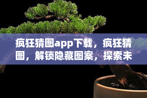 疯狂猜图app下载，疯狂猜图，解锁隐藏图案，探索未知世界