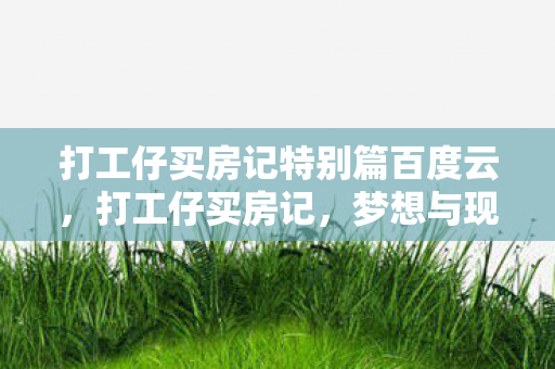 打工仔买房记特别篇百度云，打工仔买房记，梦想与现实的交织