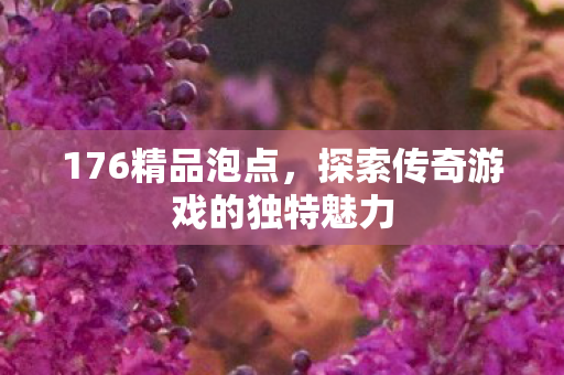 176精品泡点，探索传奇游戏的独特魅力