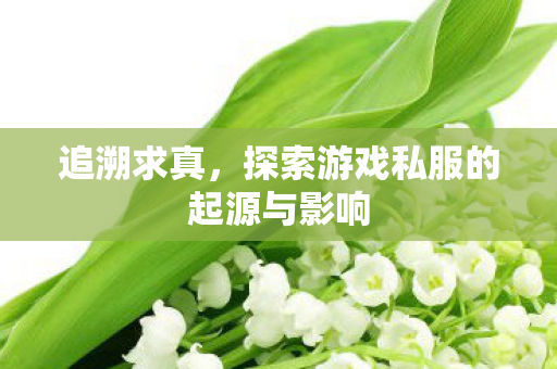 追溯求真，探索游戏私服的起源与影响