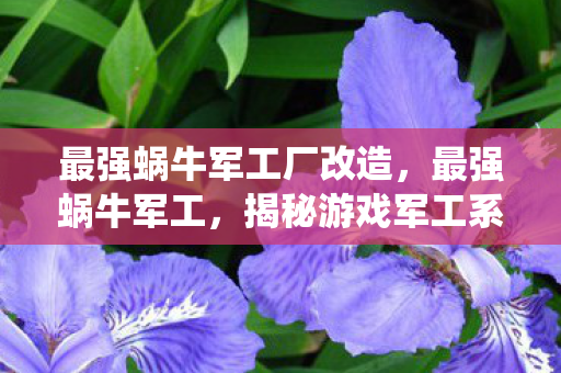 最强蜗牛军工厂改造，最强蜗牛军工，揭秘游戏军工系统的深度解析