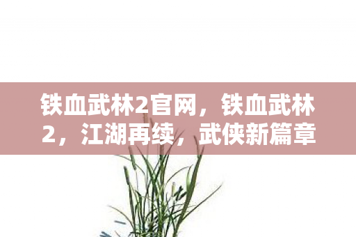 铁血武林2官网，铁血武林2，江湖再续，武侠新篇章