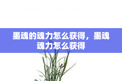 墨魂的魂力怎么获得，墨魂魂力怎么获得