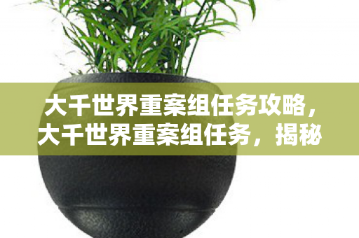 大千世界重案组任务攻略，大千世界重案组任务，揭秘游戏世界中的神秘事件