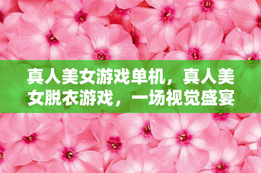 真人美女游戏单机，真人美女脱衣游戏，一场视觉盛宴的娱乐探索