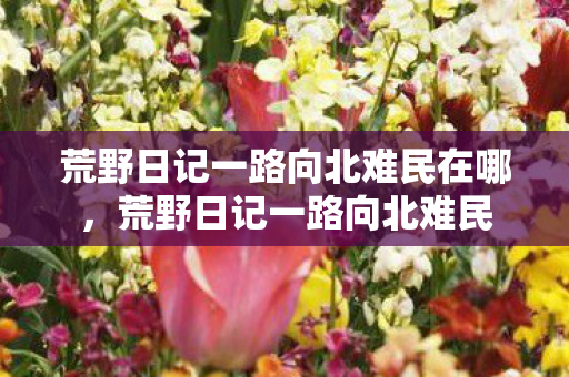 荒野日记一路向北难民在哪，荒野日记一路向北难民