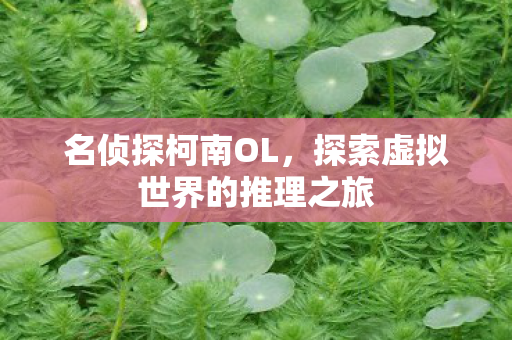 名侦探柯南OL，探索虚拟世界的推理之旅