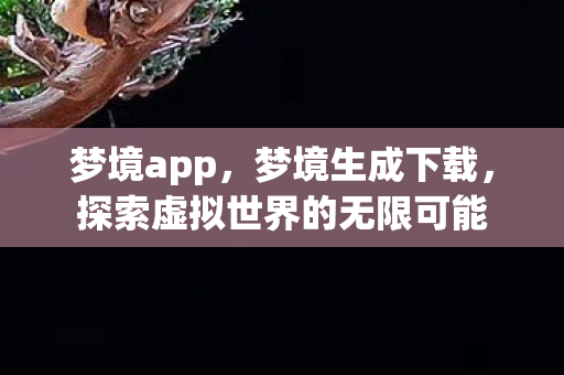 梦境app，梦境生成下载，探索虚拟世界的无限可能
