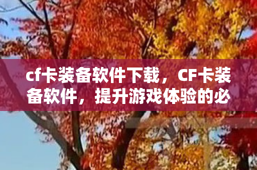 cf卡装备软件下载，CF卡装备软件，提升游戏体验的必备神器