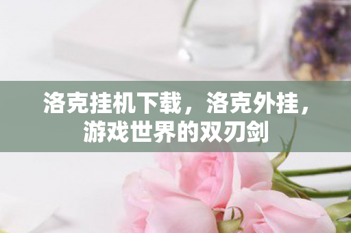 洛克挂机下载，洛克外挂，游戏世界的双刃剑