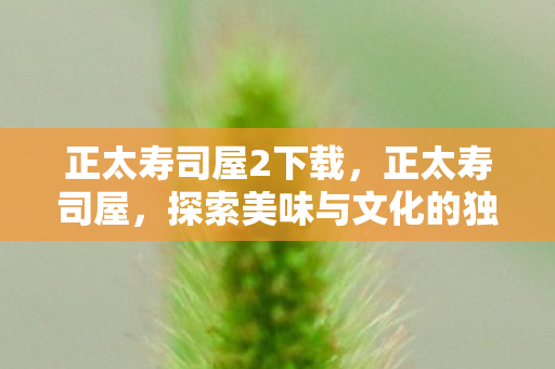正太寿司屋2下载,正太寿司屋,探索美味与文化的独特交汇点 正太寿司屋2下载,正太寿司屋,探索美味与文化的独特交汇点