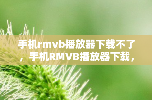 手机rmvb播放器下载不了，手机RMVB播放器下载，便捷观影的新选择