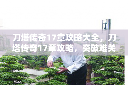 刀塔传奇17章攻略大全，刀塔传奇17章攻略，突破难关，解锁新挑战