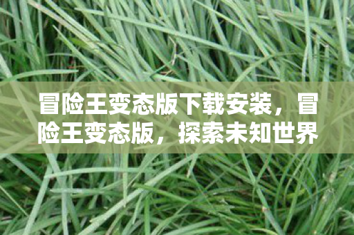 冒险王变态版下载安装，冒险王变态版，探索未知世界的奇妙之旅