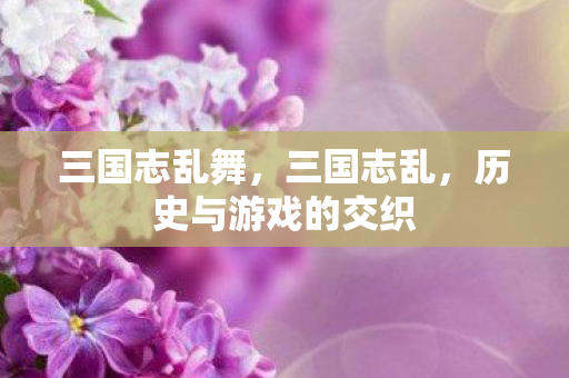 三国志乱舞，三国志乱，历史与游戏的交织