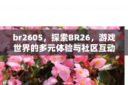 br2605，探索BR26，游戏世界的多元体验与社区互动