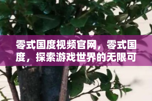 零式国度视频官网,零式国度,探索游戏世界的无限可能 零式国度视频官网,零式国度,探索游戏世界的无限可能