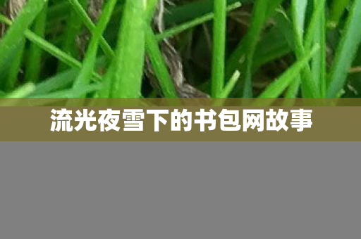 流光夜雪下的书包网故事 流光夜雪下的书包网故事