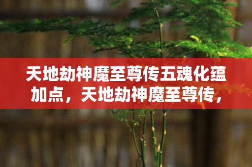 天地劫神魔至尊传五魂化蕴加点，天地劫神魔至尊传，探寻经典游戏的魅力与传承