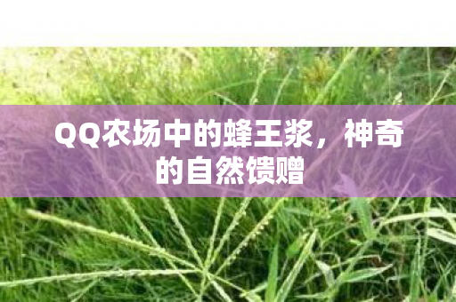 QQ农场中的蜂王浆，神奇的自然馈赠