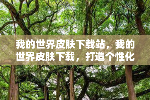我的世界皮肤下载站，我的世界皮肤下载，打造个性化角色，畅游虚拟世界
