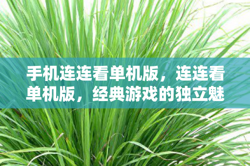 手机连连看单机版，连连看单机版，经典游戏的独立魅力与无限乐趣